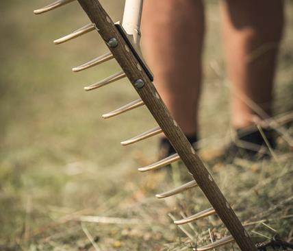 Close-up of a traditional wooden rake on grass, with a person’s legs visible in the background