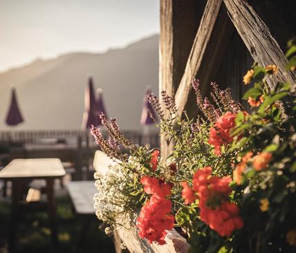 A flower box with colourful summer flower at the facade of the hut. On the background the terrace and the mountains