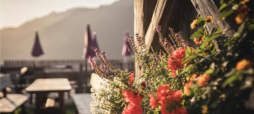 Ein Blumenkasten mit bunten Sommerblumen an der Fassade der Hütte. Im Hintergrund sieht man die Terrasse mit Tischen und die Berge