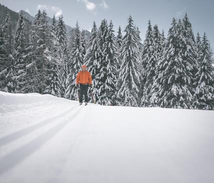 2018-landschaft-winter-c-manuel-kottersteger-archiv-tourist-info-antholzertal-5