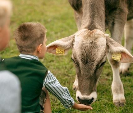 vierbrunnenhof-c-annanotdurfter-009