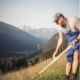 On the foreground, a man is scything an alpine meadow; on the background a clear blue sky stretches over the mountains