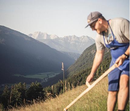 In primo piano un uomo falcia un prato alpino; sullo sfondo si vedono le montagne e il cielo azzurro