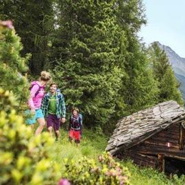 Wandern im Frühling