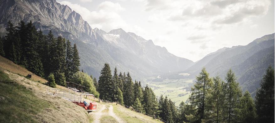 View of an alpine path with a farm trailer on the hillside, surrounded by forests and steep mountains, overlooking the wide green valley below