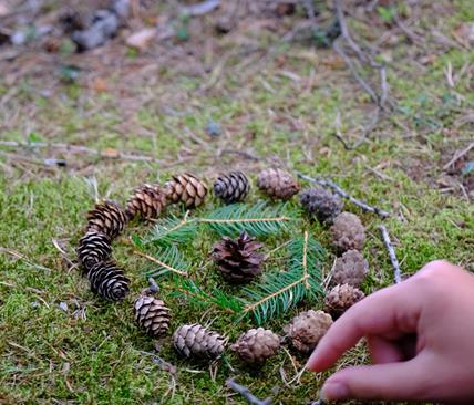 Im Wald